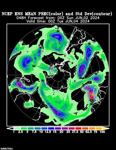 NCEP Ensemble t = 048 hour forecast product