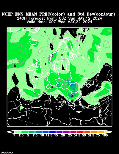 NCEP Ensemble t = 240 hour forecast product