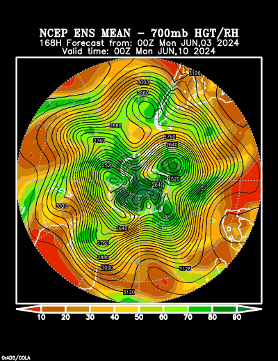 NCEP Ensemble t = 168 hour forecast product