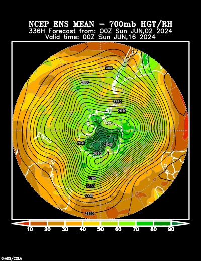 NCEP Ensemble t = 336 hour forecast product