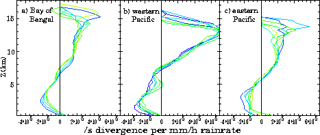 Vertical profiles of regression coefficient between horizontal wind divergence and near-surface rainrate