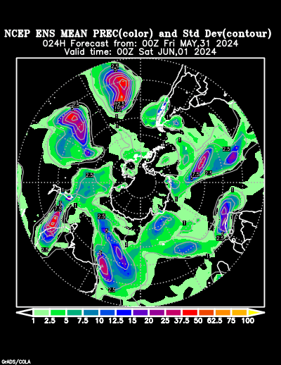 NCEP Ensemble t = 024 hour forecast product