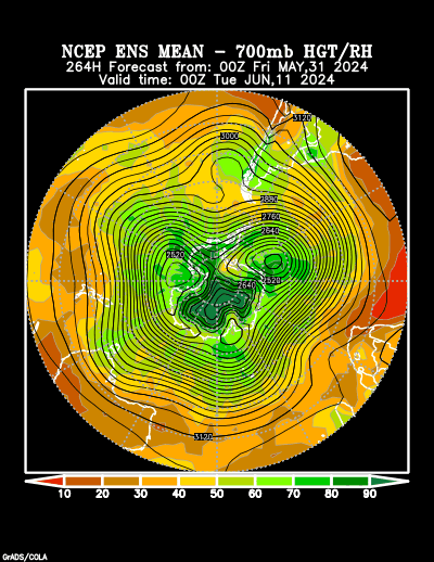 NCEP Ensemble t = 264 hour forecast product